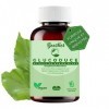 MORUS ALBA - Glucoduce – Extrait de mûrier blanc -750mg – Perte de poids – Réduit le niveau de glucose dans le sang – Réduit 