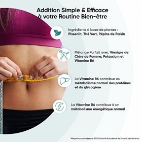 Water Away - Detox, Draineur Rétention dEau - 180 Gélules Vegan - Diurétique 100% Naturel - Avec du Pissenlit, Pépins de Rai