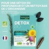 Santarome Bio - Détox Bio | Complément Alimentaire Détox Globale | Draine & Regénère les 5 Emonctoires - Plantes Bio - Grande