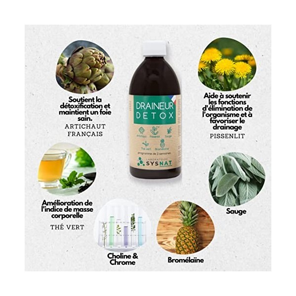 Detox • Diurétique • Draineur • Régime • Programme de 15 jours • Thé vert, Artichaut, Pissenlit, Sauge, Ananas - Bromelaine •