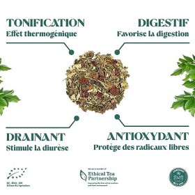 THÉ DÉTOX | Tisane Drainante | Diurétique aux 10 herbes avec Thé vert, Ortie, Bouleau et Fenouil | Amincissant et Purifiant