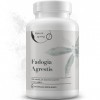 Fadogia Agrestis 600 mg par portion | 90 gélules | supplément Fadogia Agrestis 10:1 extrait de racine | à base de plantes, ha