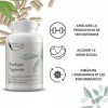 Fadogia Agrestis 600 mg par portion | 90 gélules | supplément Fadogia Agrestis 10:1 extrait de racine | à base de plantes, ha