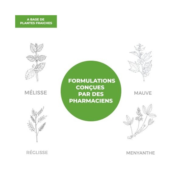 ÉLIXIR REMONTÉES ACIDES BIO | CONFORT DIGESTIF | BRÛLURES D’ESTOMAC | AIGREURS | REFLUX | PROTECTEUR GASTRIQUE | MELISSE, REG