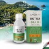 Bandini® DETOX SLIM liquide 500 ML - amincissant, drainant, purifiant, antioxydant - Supplément Thé vert, Guarana, Papaye, Or