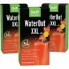 Draineur WaterOut XXL - Magnésium, persil, ortie, pissenlit, artichaut - Detox - Boisson drainante et diurétique - 30 sachets