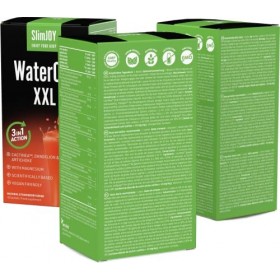 Draineur WaterOut XXL - Magnésium, persil, ortie, pissenlit, artichaut - Detox - Boisson drainante et diurétique - 30 sachets