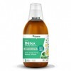 Vitavea - Extra Détox goût citron - 4 actifs dorigine naturelle : Maté Menthe poivrée Pissenlit Piloselle - Drainage Digesti