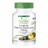 Fairvital | Garcinia Gambogia 500mg - Extrait extra fort- VEGAN - normalisé à 60% HCA - 90 gélules