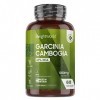 Garcinia Cambogia Extrait 60% HCA - 60 Gélules Vegan 1000mg/ Jour 2 Mois - Garcinia Cambogia Extra Fort Riche en Acide Hydr