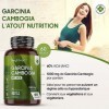 Garcinia Cambogia Extrait 60% HCA - 60 Gélules Vegan 1000mg/ Jour 2 Mois - Garcinia Cambogia Extra Fort Riche en Acide Hydr