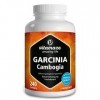 Garcinia Cambogia Brûleur de Graisse Forte 2.538mg 60% HCA - 240 Comprimés Vegan - Extrait Naturel de Plantes et Choline Pure