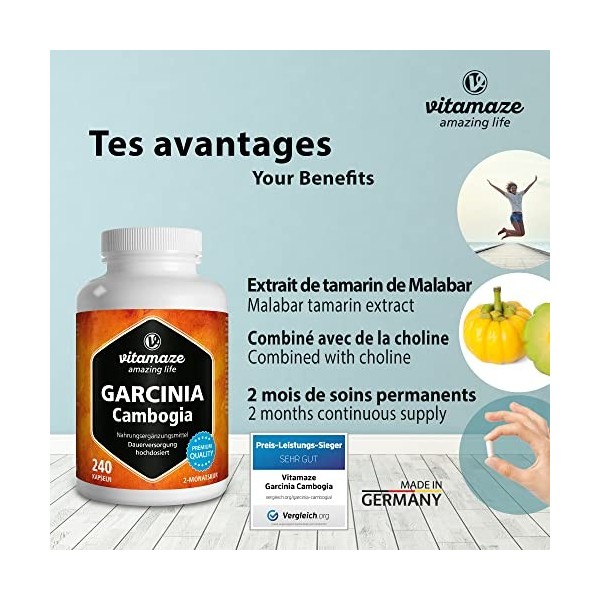 Garcinia Cambogia Brûleur de Graisse Forte 2.538mg 60% HCA - 240 Comprimés Vegan - Extrait Naturel de Plantes et Choline Pure