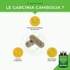 GARCINIA CAMBOGIA Pure - Coupe faim et brûleur de graisse naturel - 60% dAHC - 60 gélules de 500 mg VEGAN - Complément Mince