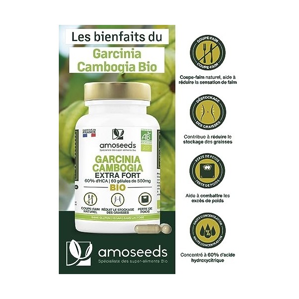 Garcinia Cambogia BIO | Extrait Haute Concentration, 60% d’HCA | 2000mg / Jour | Coupe-faim, Déstockage des Graisses | Qualit