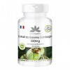 Extrait de Garcinia Cambogia 500mg - 100 gélules - standardisé à 60% dHCA - hautement dosé - végan | HERBADIREKT by Warnke V