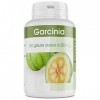 Garcinia Cambogia - 250 mg - 200 gélules