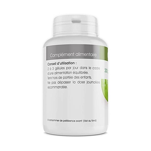 Garcinia Cambogia - 250 mg - 200 gélules