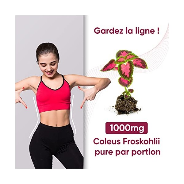 Forskoline Pure 1000 mg Extra Fort – 60 Gélules Vegan Programme 30 jours - Extrait de Forskolin Coleus Complément Alimentaire