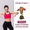 Forskoline Pure 1000 mg Extra Fort – 60 Gélules Vegan Programme 30 jours - Extrait de Forskolin Coleus Complément Alimentaire