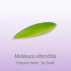 Herbal Select Tea Tree Oil,100% pure 30ml