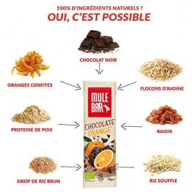 Barre énergétique Chocolat Orange BIO VEGAN Mulebar 40g
