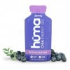 Huma Products Chia Energy Gel - 100% All Natural Blueberries 24 pckts