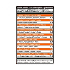 Life Pro Endurance Pro Recovery 800g | Régénération avec des glucides | Optimise la récupération | Récupérateur musculaire C