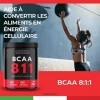 BANDINI® BCAA 8.1.1 500 comprimés - BCAA 811 Acides aminés à chaîne ramifiée, Leucine, Isoleucine, Valine avec vitamines B1 e