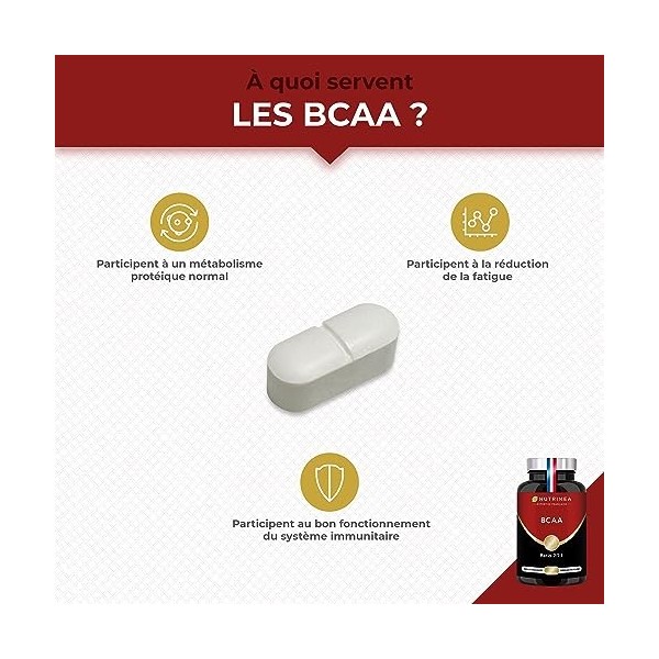 BCAA - Ratio 2:1:1 - Acides Aminés Essentiels Avec Vitamine B6 - Synthèse des Protéines - Réduction de la Fatigue & Récupérat