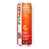 LifeAID FITAID Recovery Blend | 100% Clean & Paleo Friendly | No Artificial Colors, Flavors or Sweeteners | BCAAs, L-Glutamin