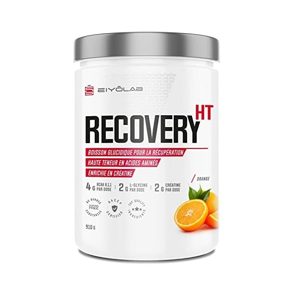 RECOVERY HT | BCAA 8.1.1 + Créatine + Glutamine + Glycine | Complexe Récupération Musculaire Complet en Poudre | Absorption O