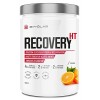 RECOVERY HT | BCAA 8.1.1 + Créatine + Glutamine + Glycine | Complexe Récupération Musculaire Complet en Poudre | Absorption O