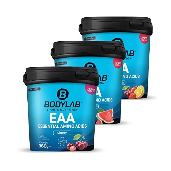 Bodylab24 EAA Essential Amino Acids Punch aux fruits 360g, 8 acides aminés essentiels hautement dosés, tous les BCAA & EAA co