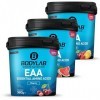 Bodylab24 EAA Essential Amino Acids Punch aux fruits 360g, 8 acides aminés essentiels hautement dosés, tous les BCAA & EAA co