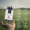 L-Carnitine pure en gélules. Puissant brûleur de graisse naturel. Boostez votre énergie et améliorez vos performances, votre 