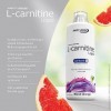 Best Body 1 Nutrition L-Carnitin Liquide L-Carnitine