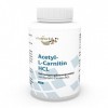 Vita World Acetyl L-carnitine 1000mg 120 Capsules doses très élevées haute biodisponibilité Made in Germany acétyl-carnitine