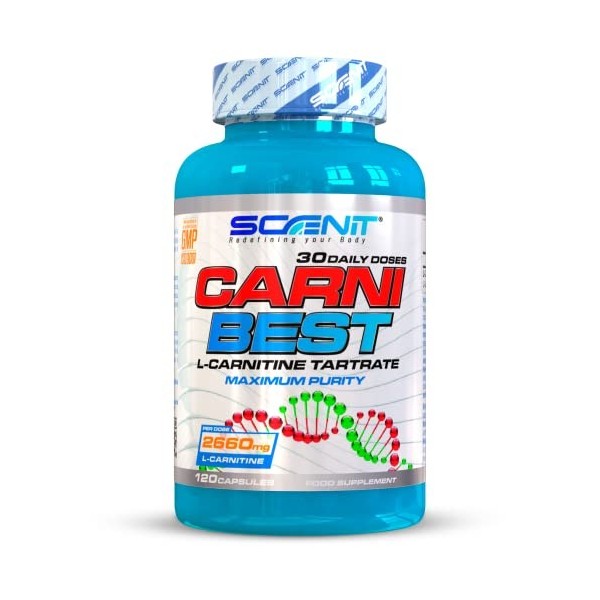 Carnitine - CARNI BEST - L Carnitine 2660 mg - 120 gélules végétaliennes de gélules de l-carnitine - l-carnitine gelules - 