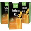 SlimJOY FatBurn XXL - 1000 mg de L-Carnitine, 1000 mg de Yerba Mate et 700 mg de Guarana par Boisson - de Sensilab
