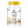 L-Carnitine 300mg - fortement dosé avec 900mg par dose journalière - 250 Licaps - Carnipure liquide | Warnke Vitalstoffe