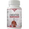 SUPER CRÉATINE DE HAUTE QUALITÉ • 180 gélules 100% créatine • MADE IN FRANCE • Pour 1 MOIS • SuperPhysique Nutrition