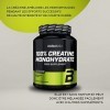 100% Creatine Monohydrate Poudre de creatine monohydrate de qualite pharmaceutique, sans saveur, 300 g