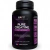 EAFIT | Pure Créatine | Améliore les Capacités Physiques | 3g de Créatine Monohydrate par Shaker | Efforts Intenses, Prise de