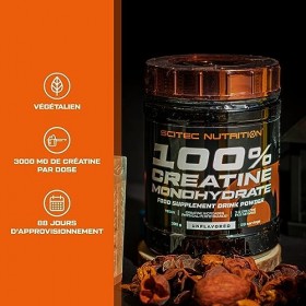 Scitec Nutrition 100% Creatine Monohydrate, 300 g