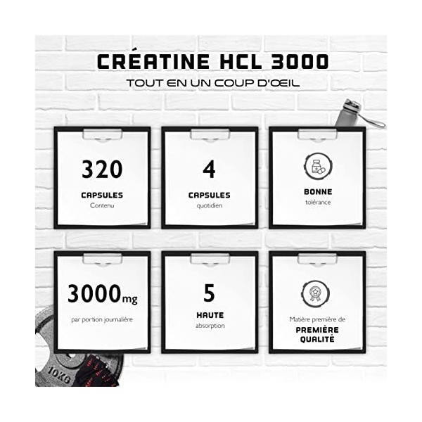 Créatine HCL - 320 gélules - Hautement dosé à 3000 mg - Chlorhydrate de créatine pure à haute absorption - Haute biodisponibi