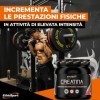 EthicSport - Creatine - Pot de 300 mg - Supplément alimentaire pour améliorer la performance et la réactivité musculaire