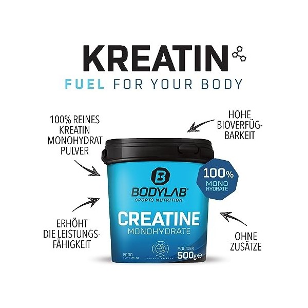 Bodylab24 Creatine Powder 500g, poudre de monohydrate de créatine pure, créatine hautement dosée pour plus dénergie et de fo