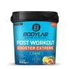 Bodylab24 Post Workout Extreme Mélange de Fruits Tropicaux 500g, avec des acides aminés dont les BCAA dans un rapport 2:1:1 