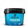 Bodylab24 Creatine Monohydrate 180 capsules, monohydrate de créatine sous forme de capsules, poudre de monohydrate de créatin